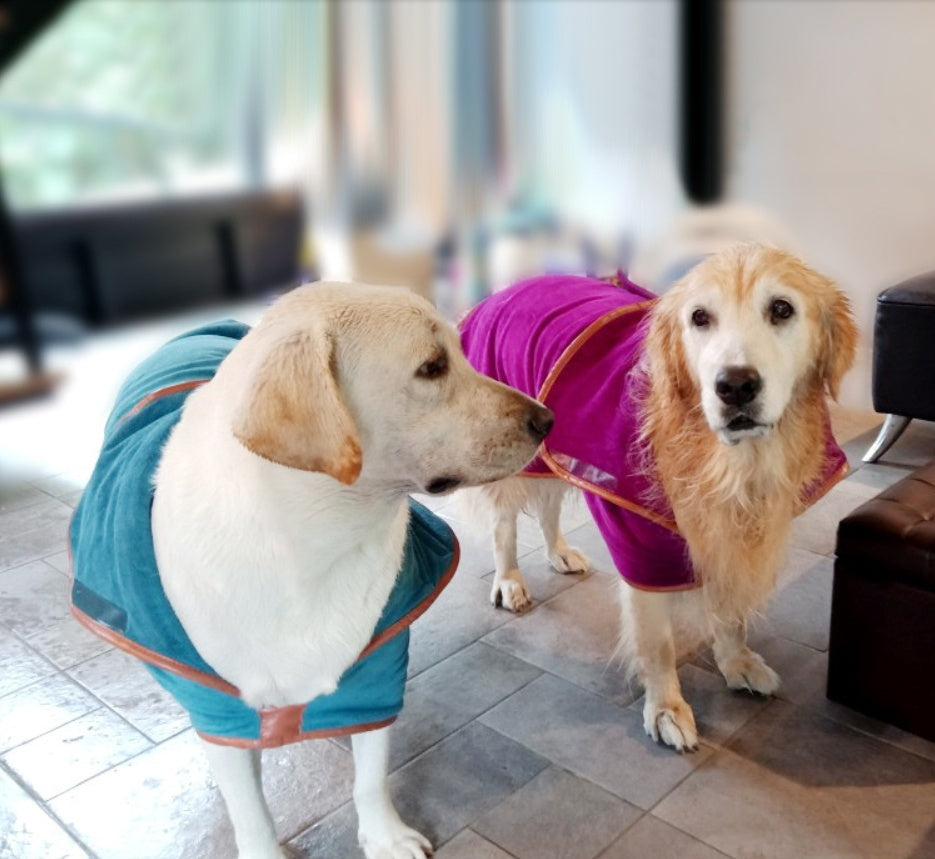 The Ultimate Pet Quick-Drying Absorbent Clothes Towel