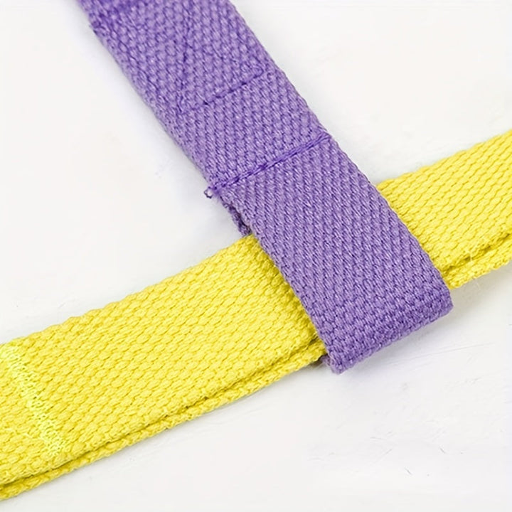 Rainbow Colorblock Anti-Escape Harness With Leash For Pets