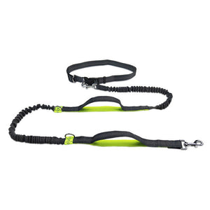 The Ultimate Adjustable Jogging Harness With Leash For Pets