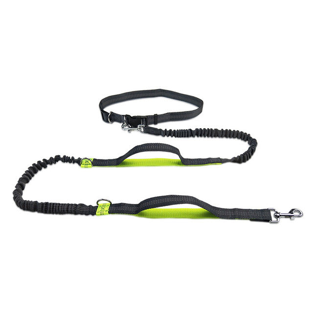 The Ultimate Adjustable Jogging Harness With Leash For Pets