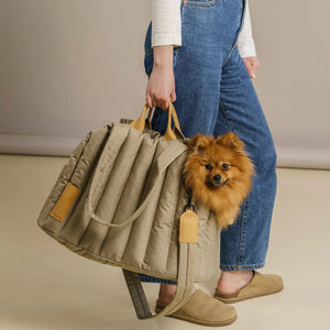 Lightweight Waterproof Pet Carrier Bag: Travel in Style