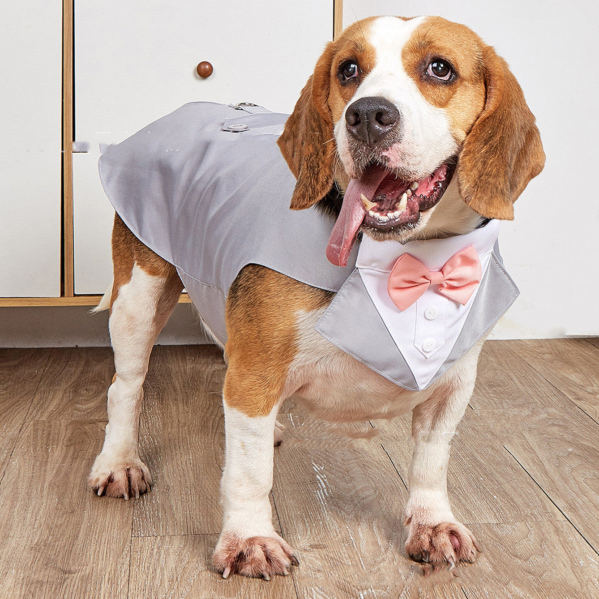 Swallowtail Wedding Suit Jacket For Pets