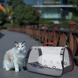 Traveling Safely with Pet Carriers