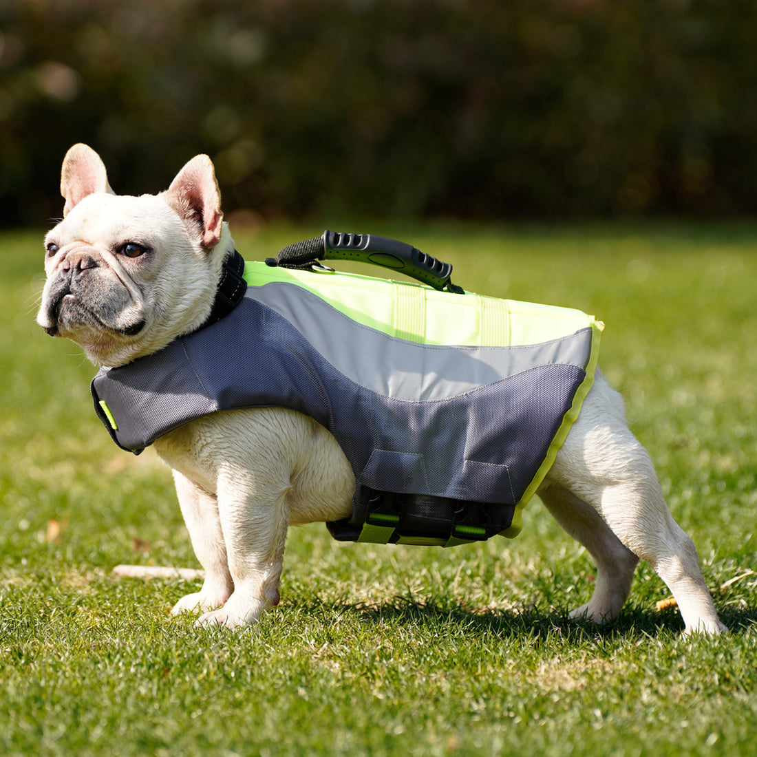 Reflective Swimsuit Life Jacket For Pets