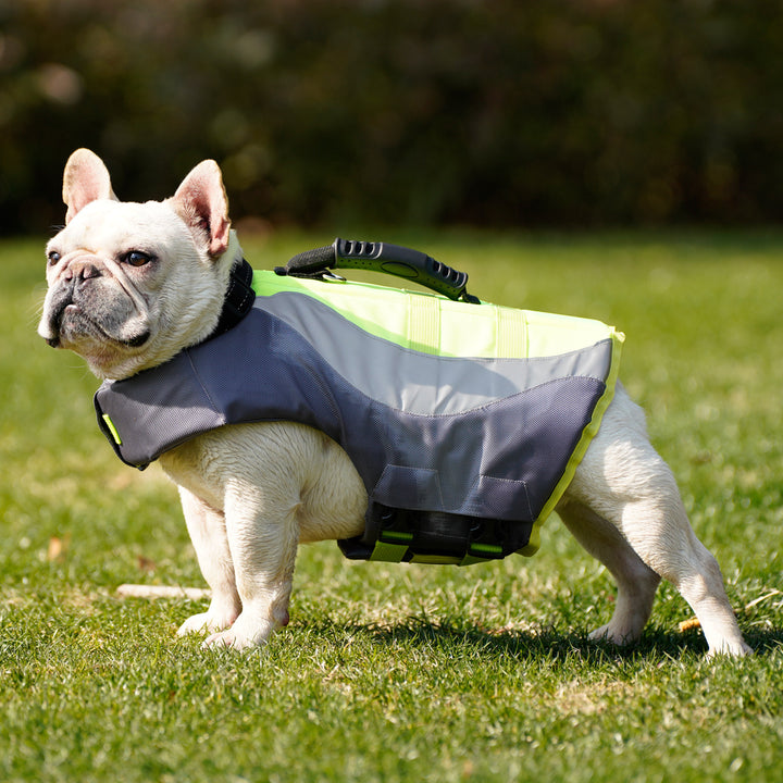 Reflective Swimsuit Life Jacket For Pets