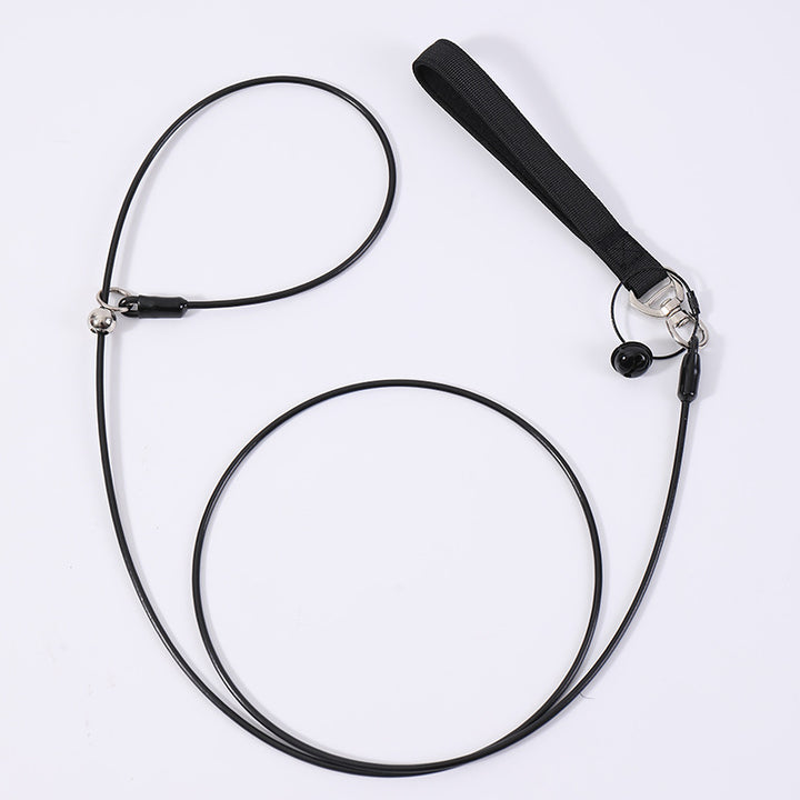 Leash And Collar Set For Pets