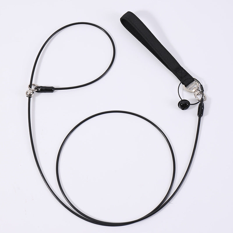 Leash And Collar Set For Pets