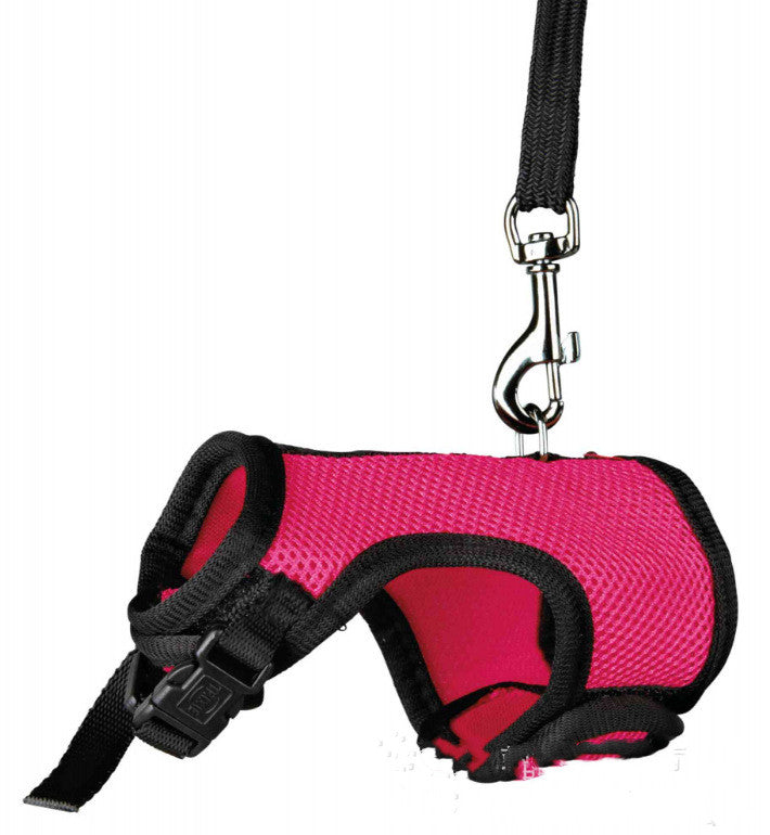Adjustable Leash For Small Pets