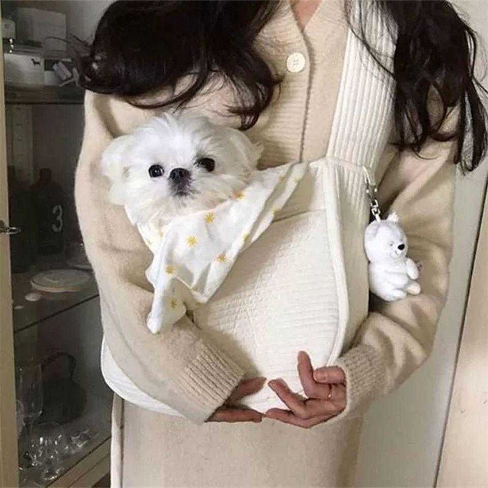 Handmade Pet Carrier Bag Canvas Shoulder Tote For Travel