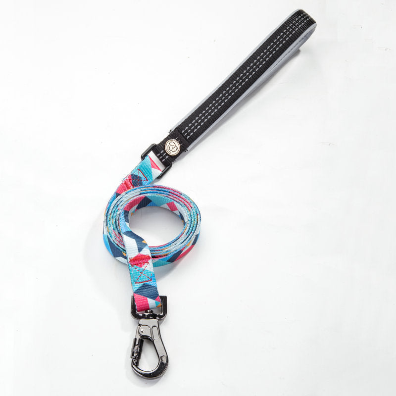 Durable Walking Leash For Pets