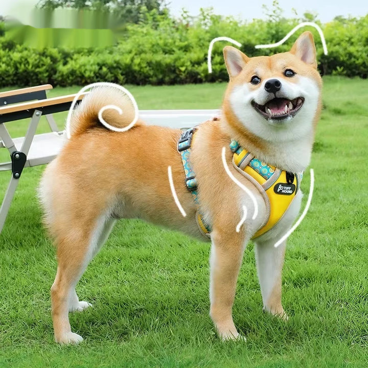Vest-Style Harness With Walking Leash For Pets