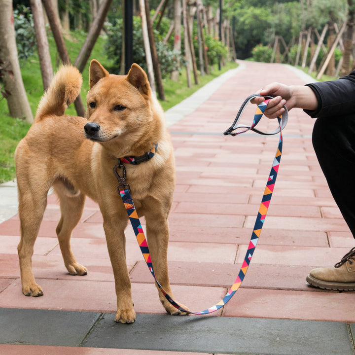 Durable Walking Leash For Pets
