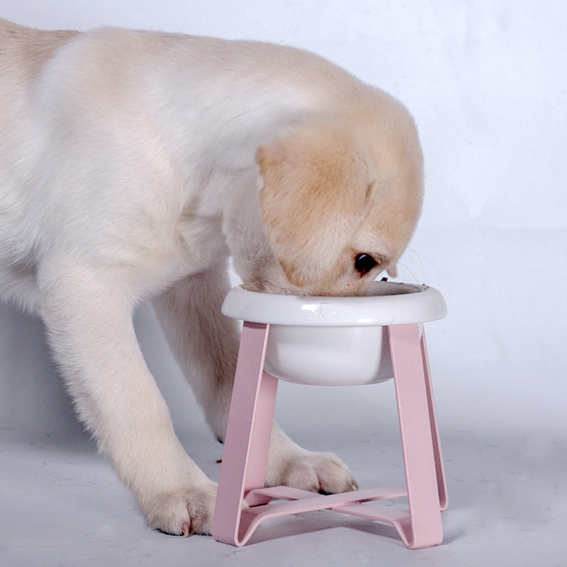 Pet 2-in-1 Anti-Slip Feeding Bowl With Iron Stand