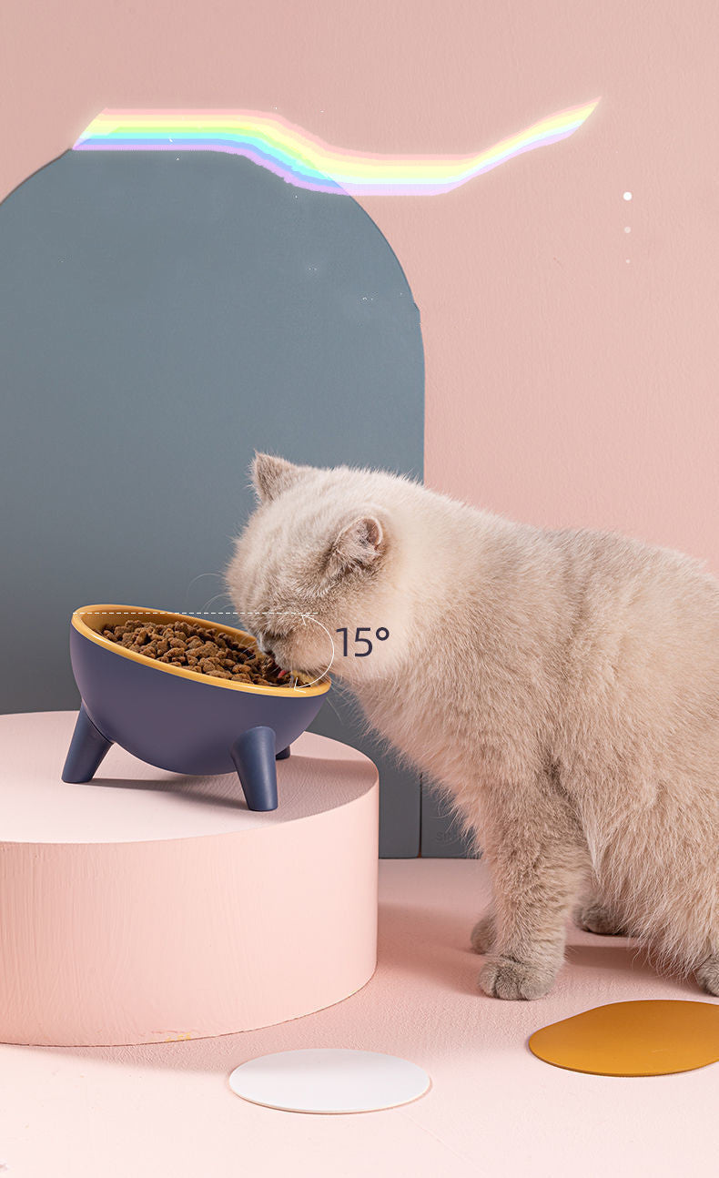 Pet Feeding Bowl With Stand Nordic Color Multi-Purpose Feeder