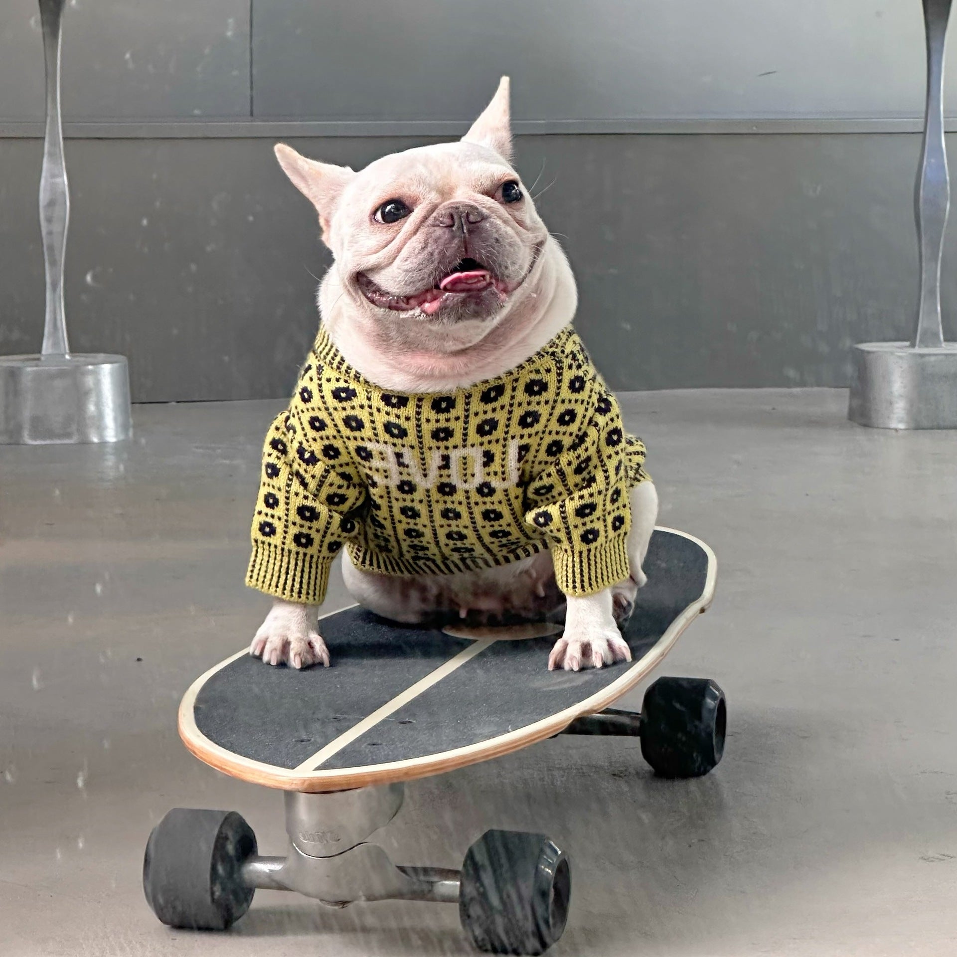 Pet Winter Sweater For Warmth And Comfort