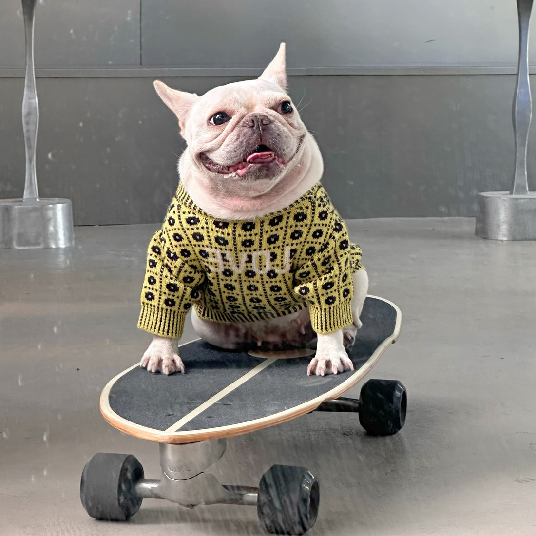Pet Winter Sweater For Warmth And Comfort