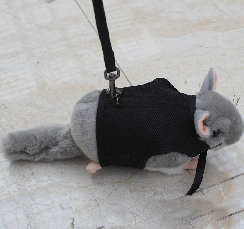 Adjustable Leash For Small Pets