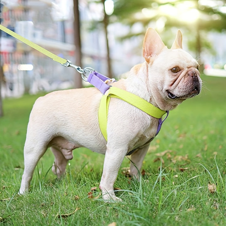 Rainbow Colorblock Anti-Escape Harness With Leash For Pets