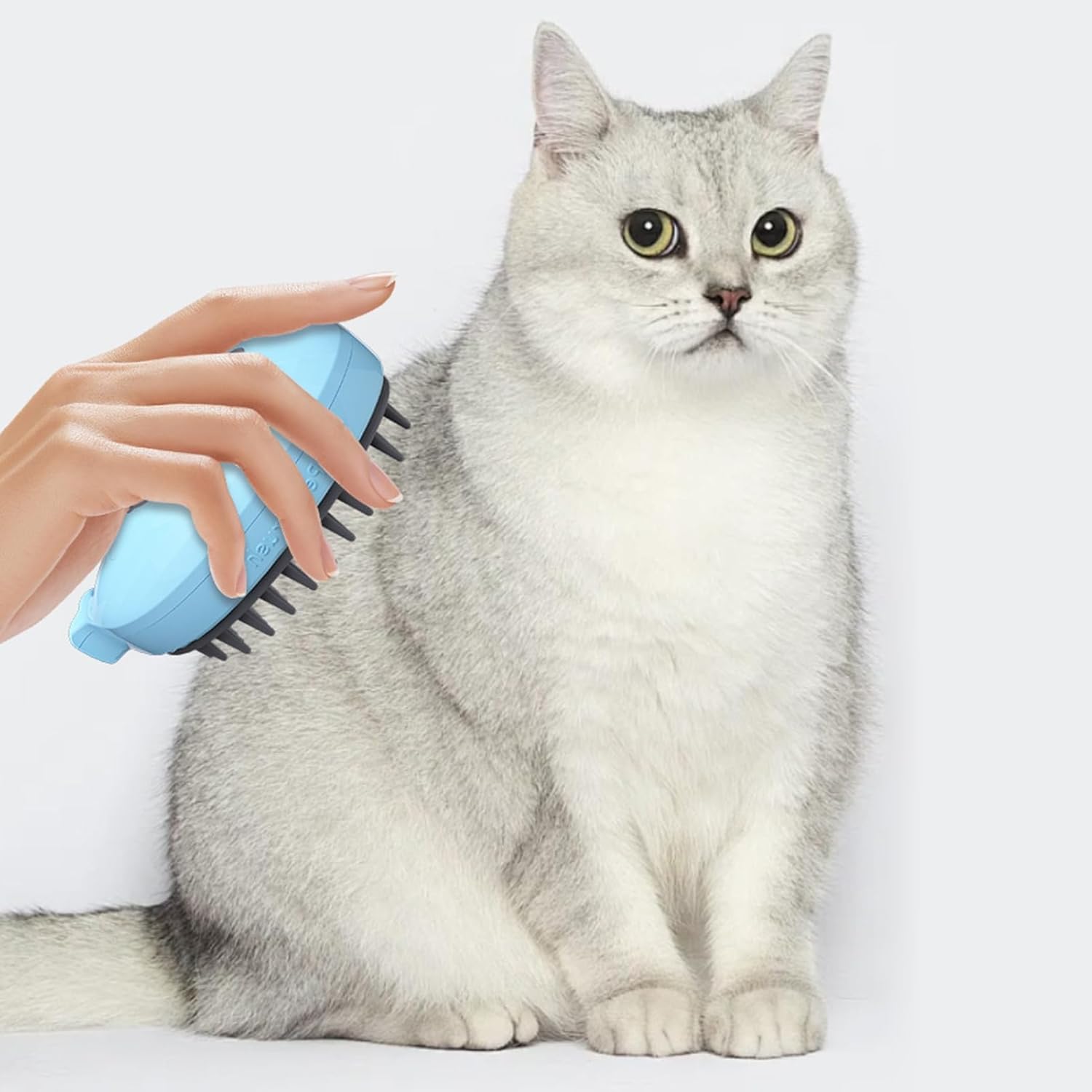3-in-1 Whale-Shaped Pet Steam Brush For Bathing Massage