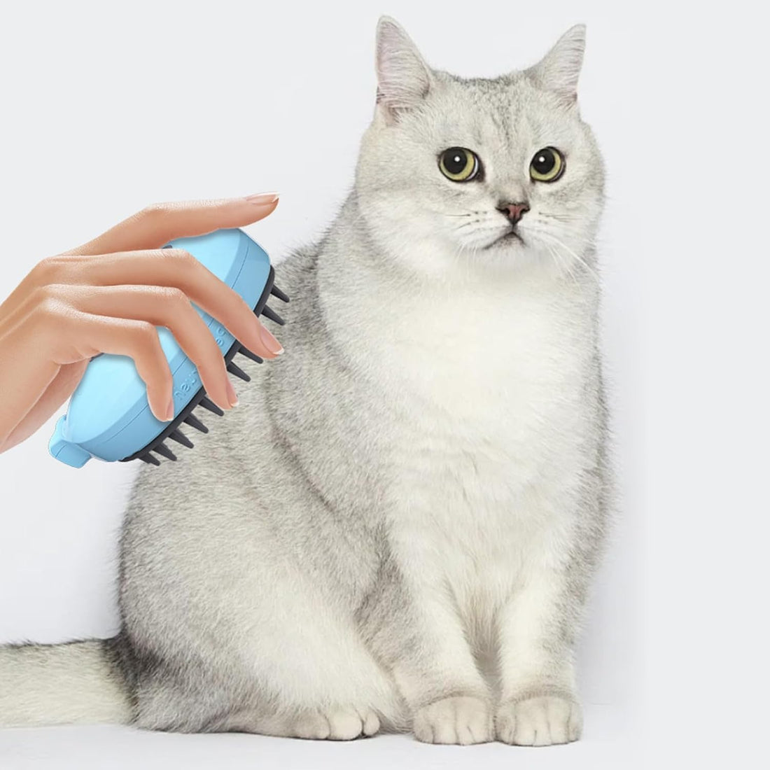3-in-1 Whale-Shaped Pet Steam Brush For Bathing Massage