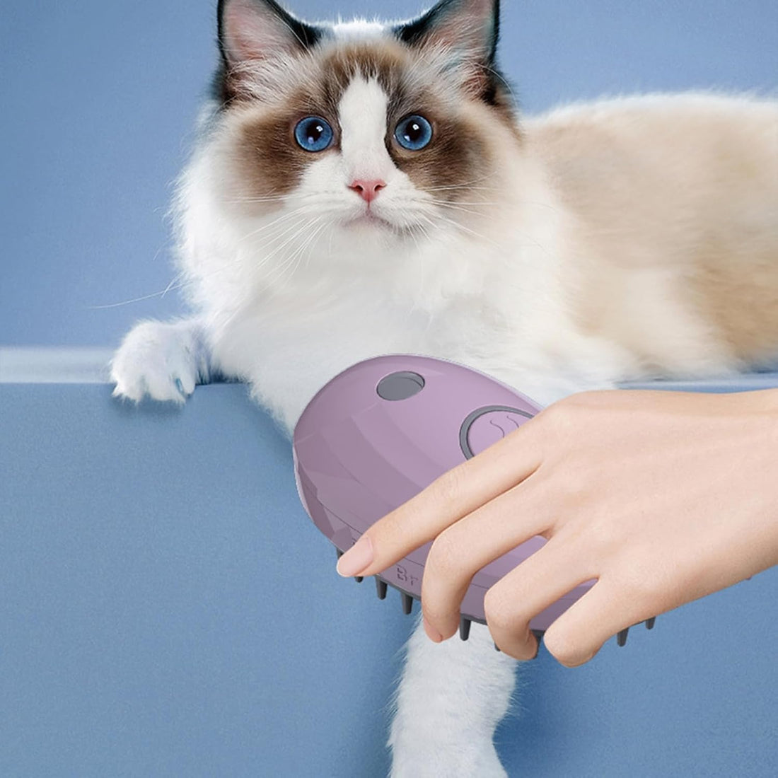 3-in-1 Whale-Shaped Pet Steam Brush For Bathing Massage