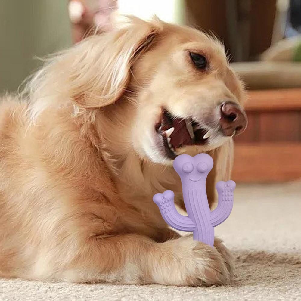 Ultra-Durable Cactus Pet Chew Toy For Interactive Play