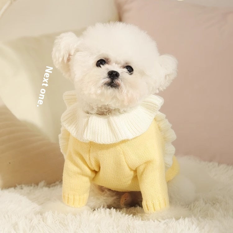 Autumn Pet Sweater For Warmth And Comfort