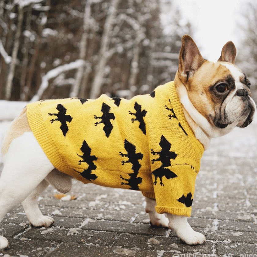 Warm Core-Spun Yarn Pet Sweater For Comfort