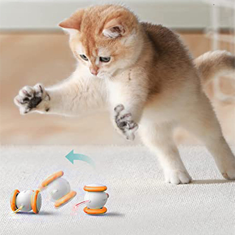 Electric Intelligent Pet Teasing Toy With Rechargeable Battery