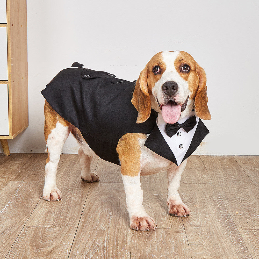 Swallowtail Wedding Suit Jacket For Pets