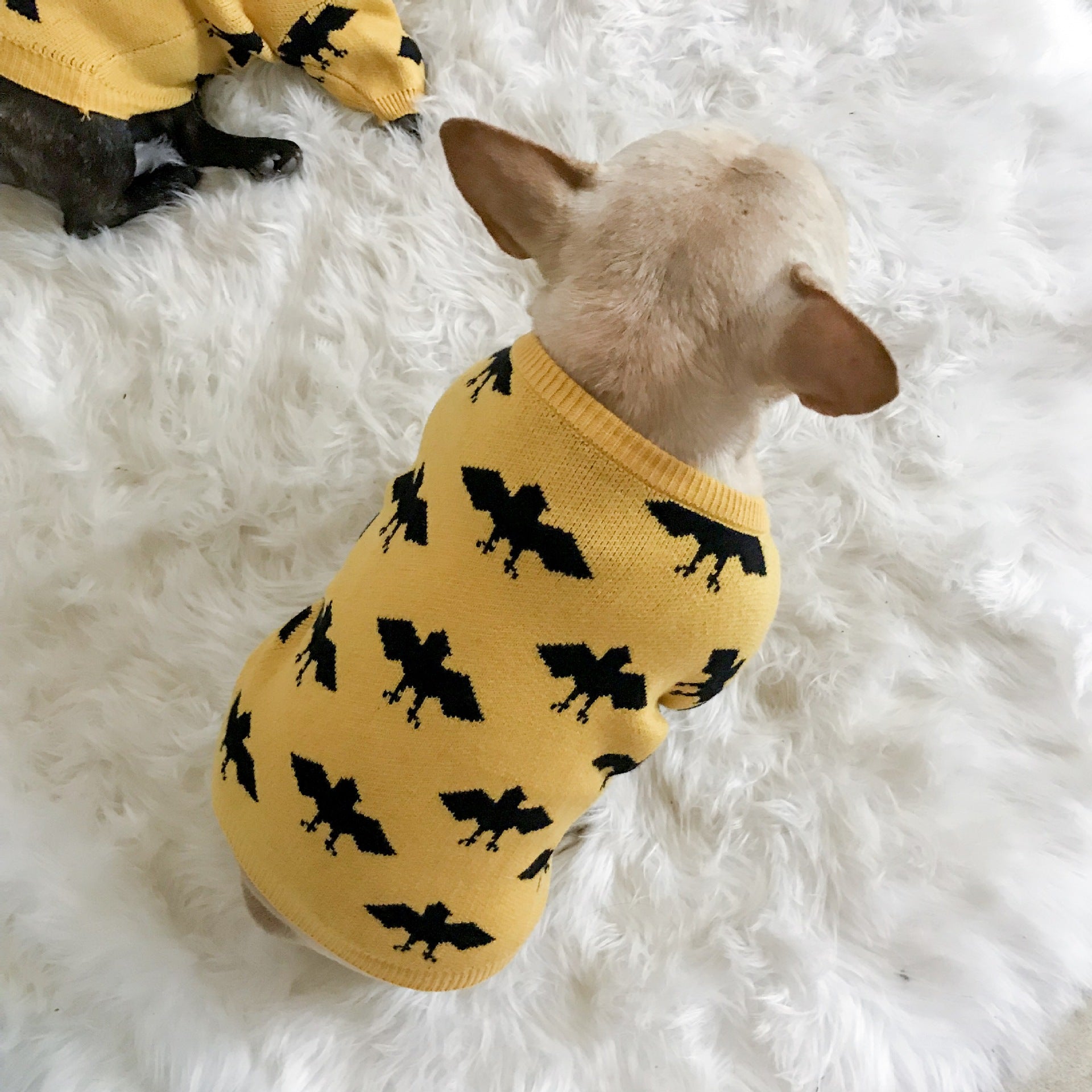 Warm Core-Spun Yarn Pet Sweater For Comfort