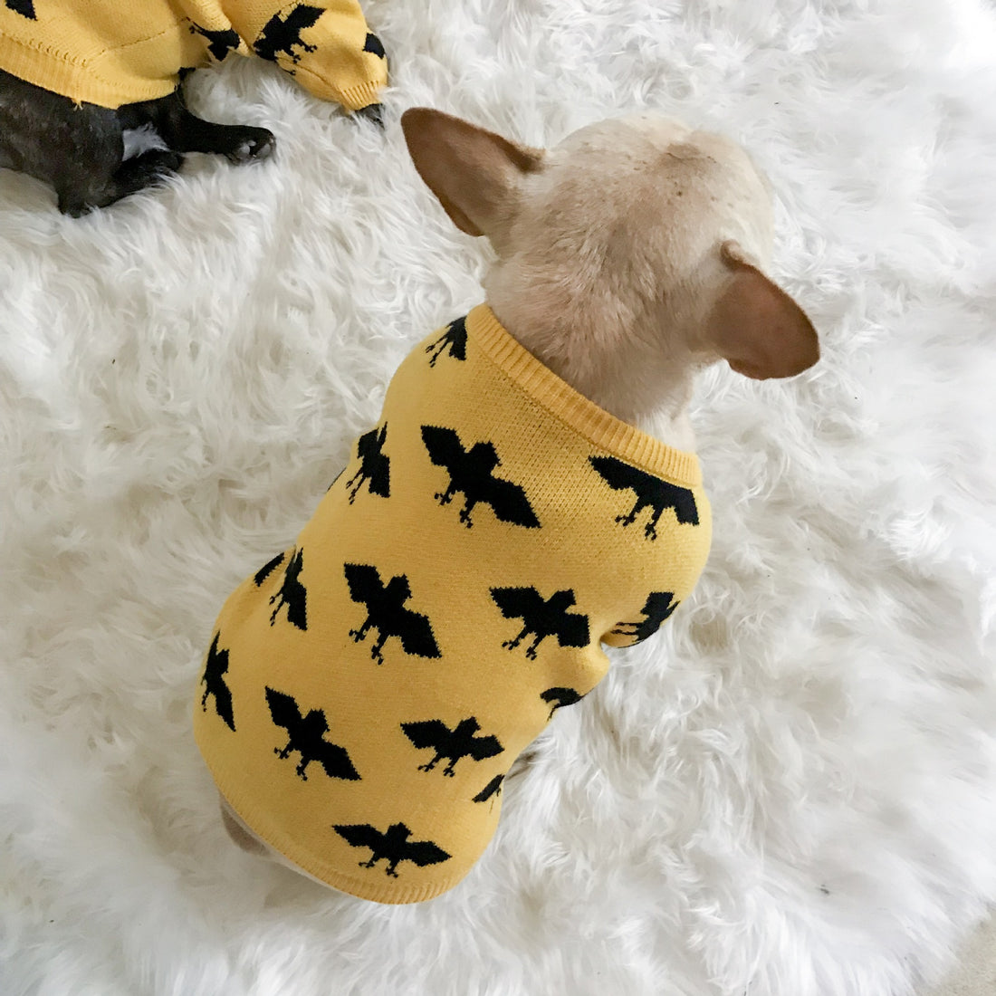 Warm Core-Spun Yarn Pet Sweater For Comfort