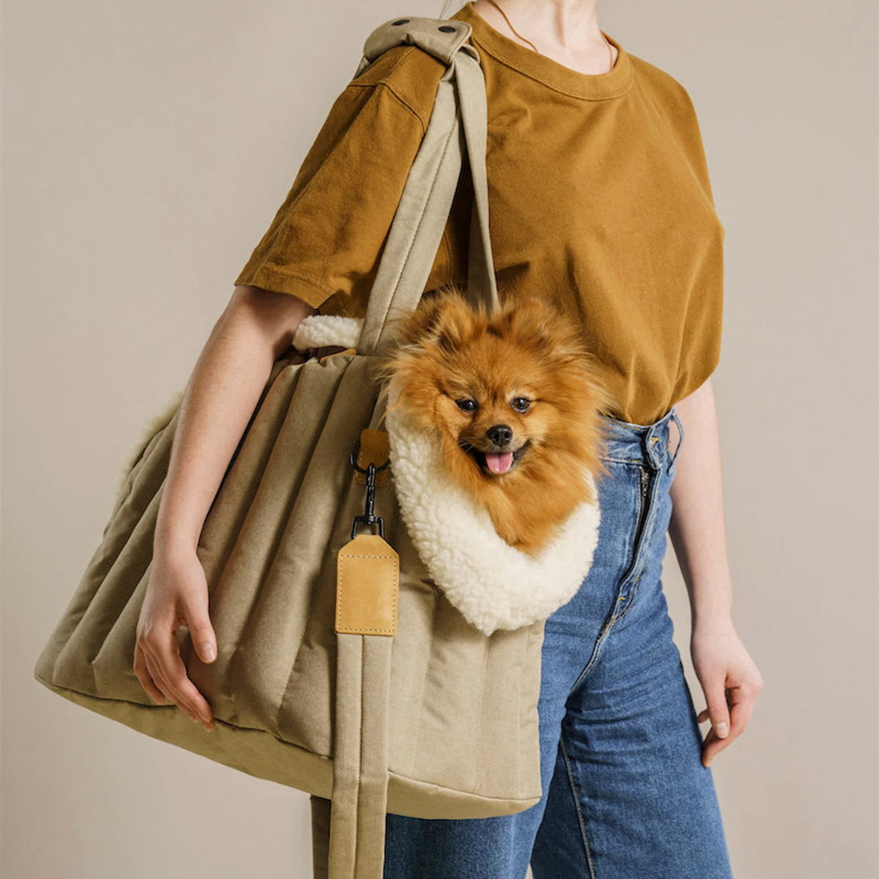 Lightweight Waterproof Pet Carrier Bag Portable Travel Handbag