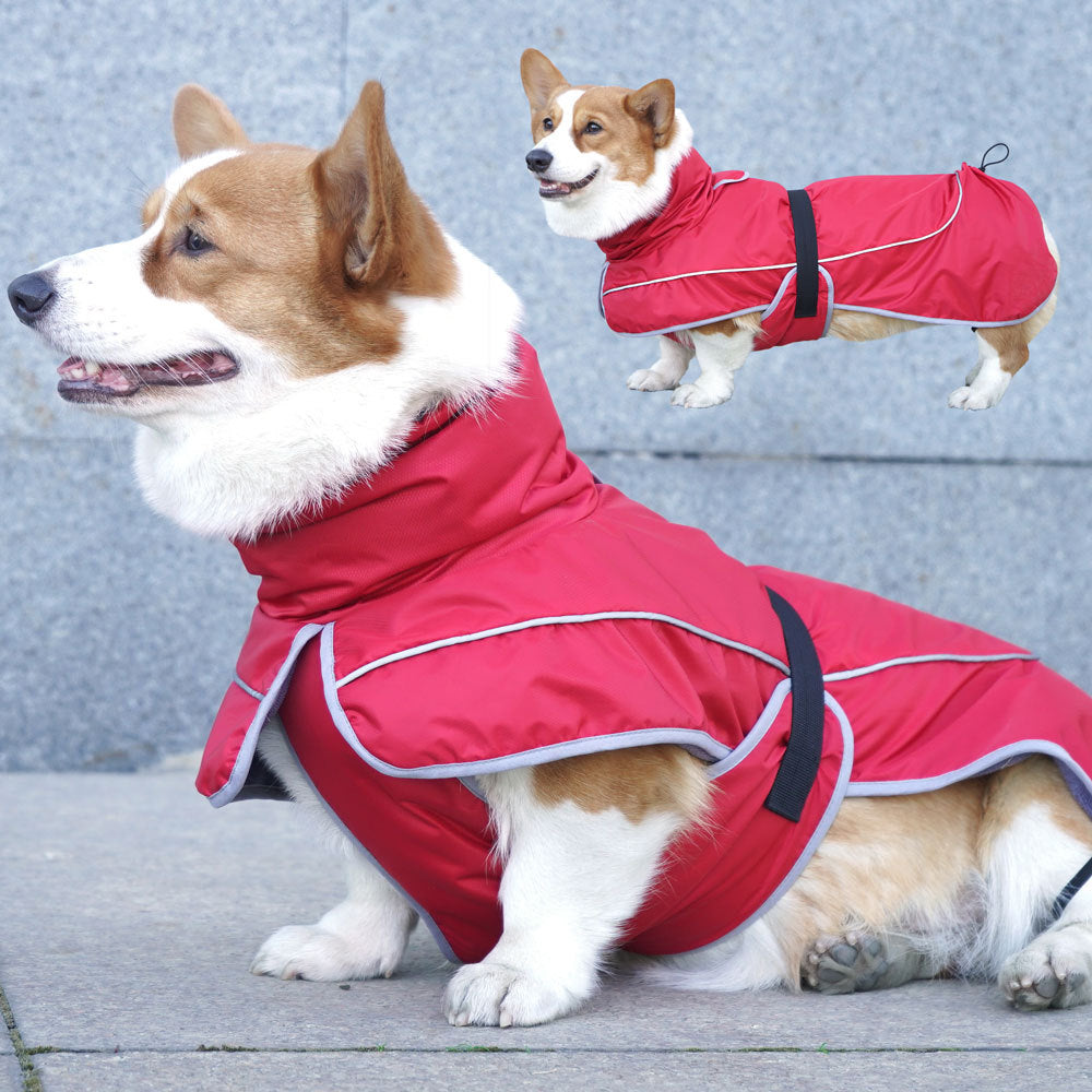 Pet Warm Shell Jacket Insulated Outerwear