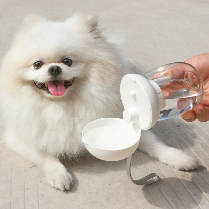 Portable Pet Water Bottle With Bowl And Lanyard For Travel