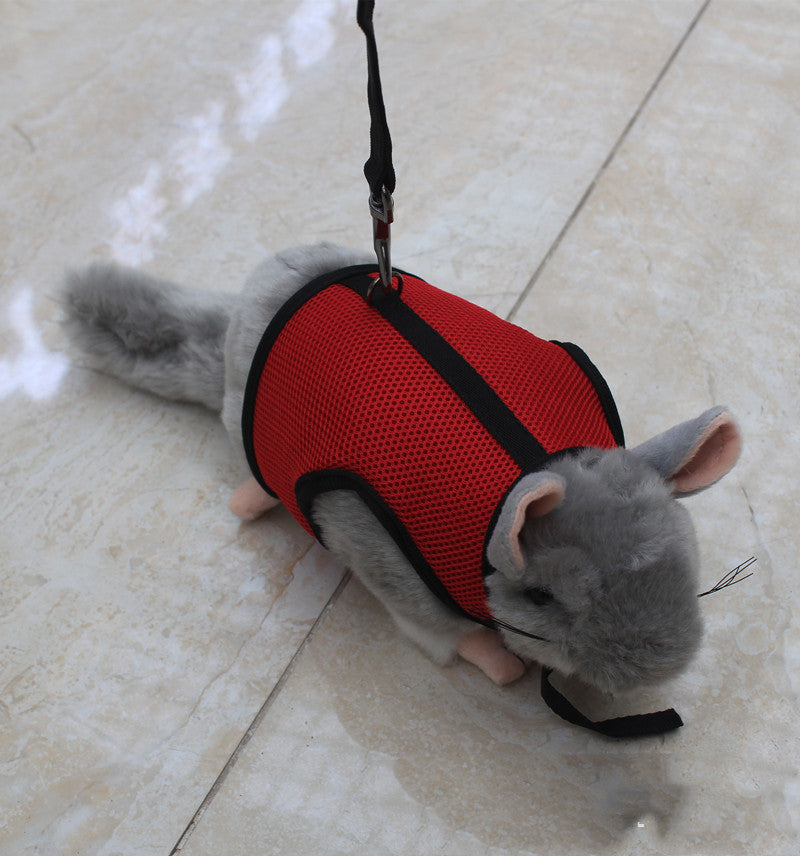 Adjustable Leash For Small Pets