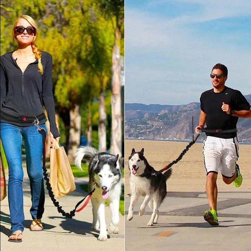 Adjustable Jogging Harness With Leash For Pets