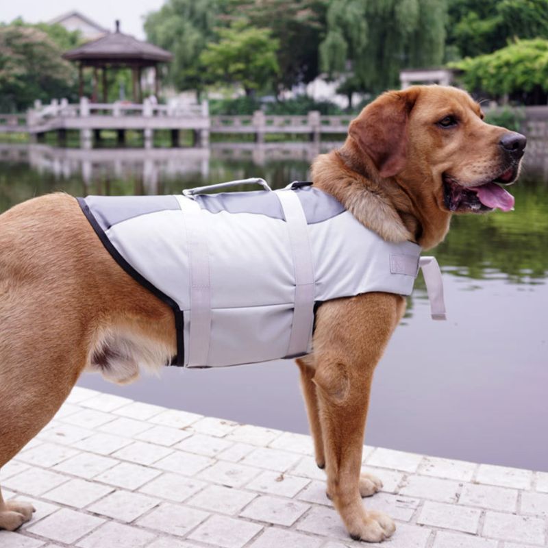 Pet Life Jacket For Safety And Swimming