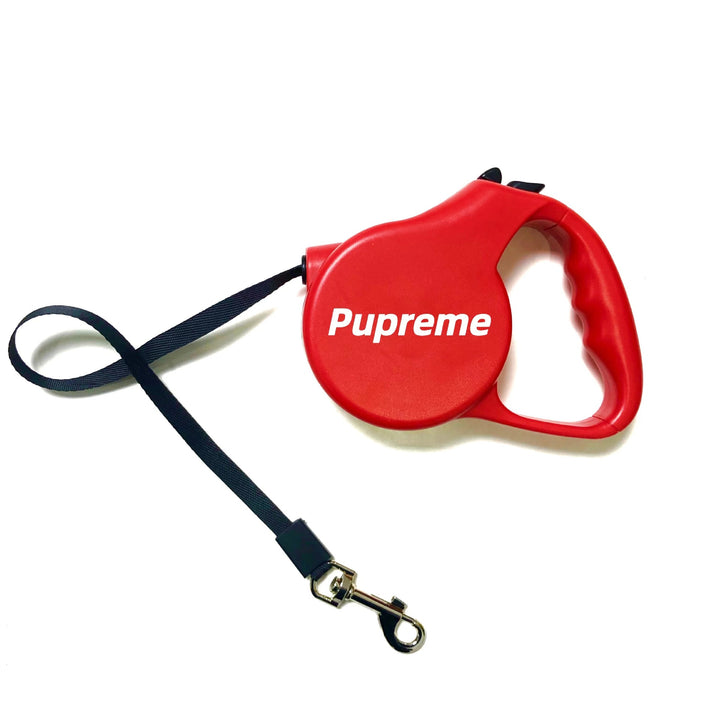 Automatic Retractable Leash For Pets