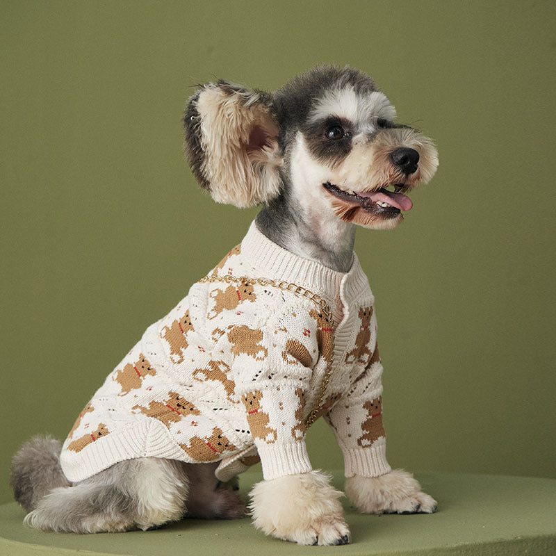 VIP Cute Jacket For Pets