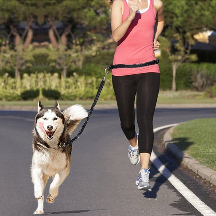 Adjustable Jogging Harness With Leash For Pets