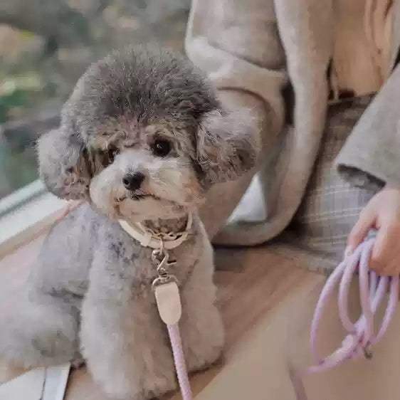 Leather Handheld Collar And Leash For Pets