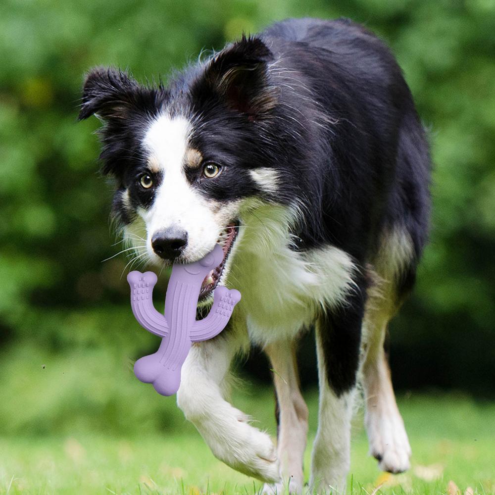 Ultra-Durable Cactus Pet Chew Toy For Interactive Play