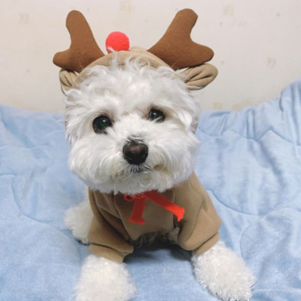Hooded Pet Sweater For Style And Warmth