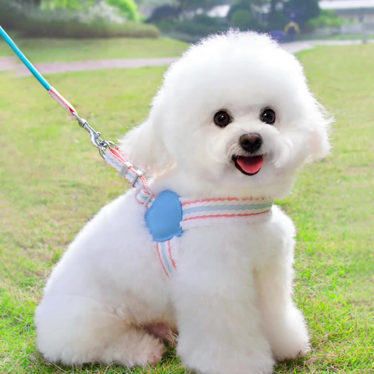 Breathable Summer Chest Vest Leash For Pets