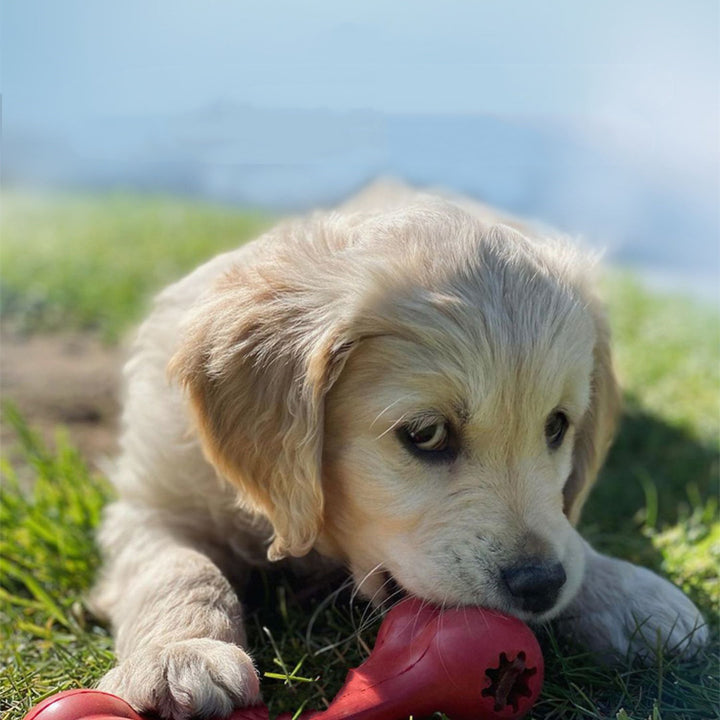 Durable Pet Chew And Teeth Grinding Rubber Toy
