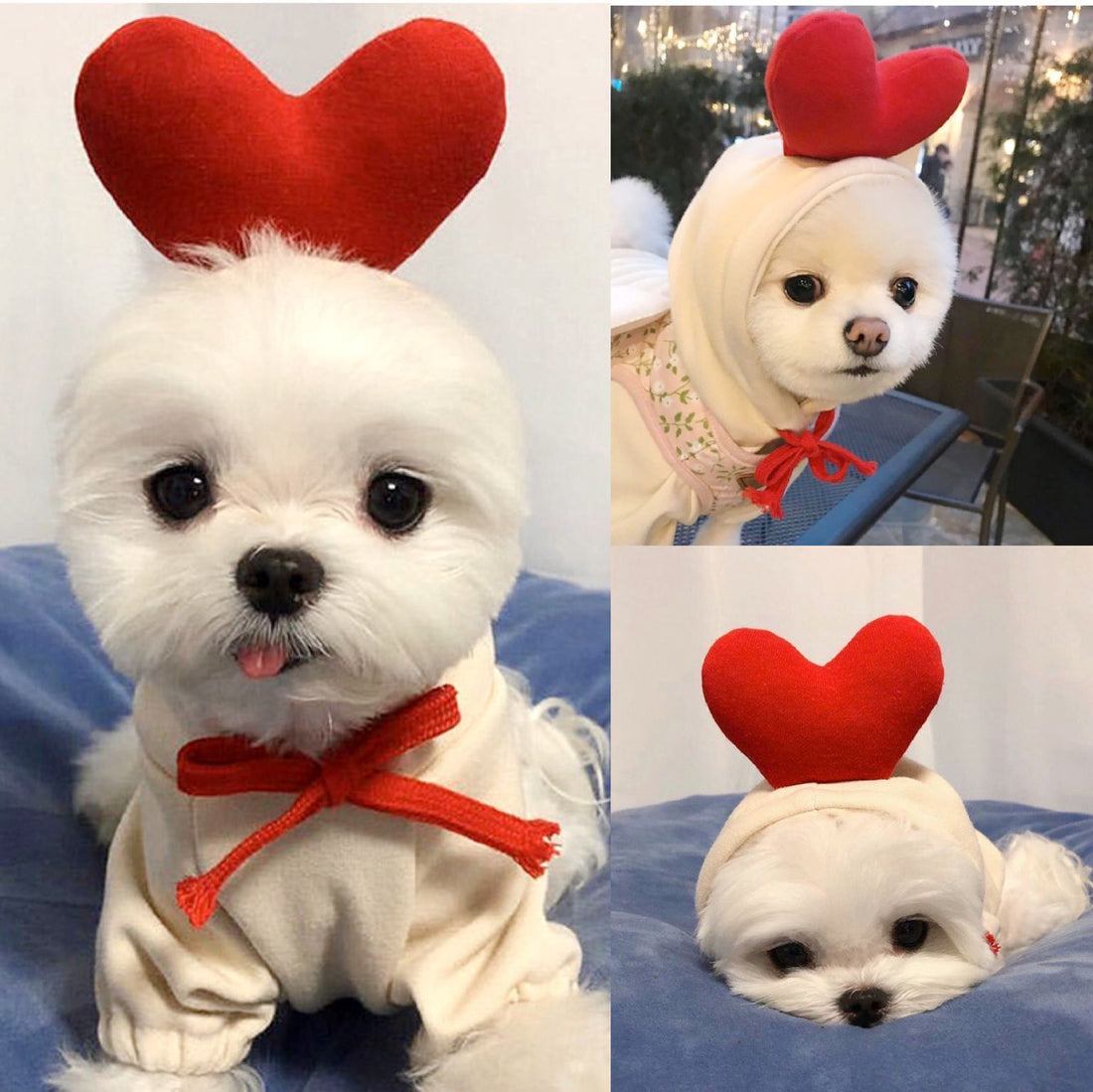 Hooded Pet Sweater For Style And Warmth