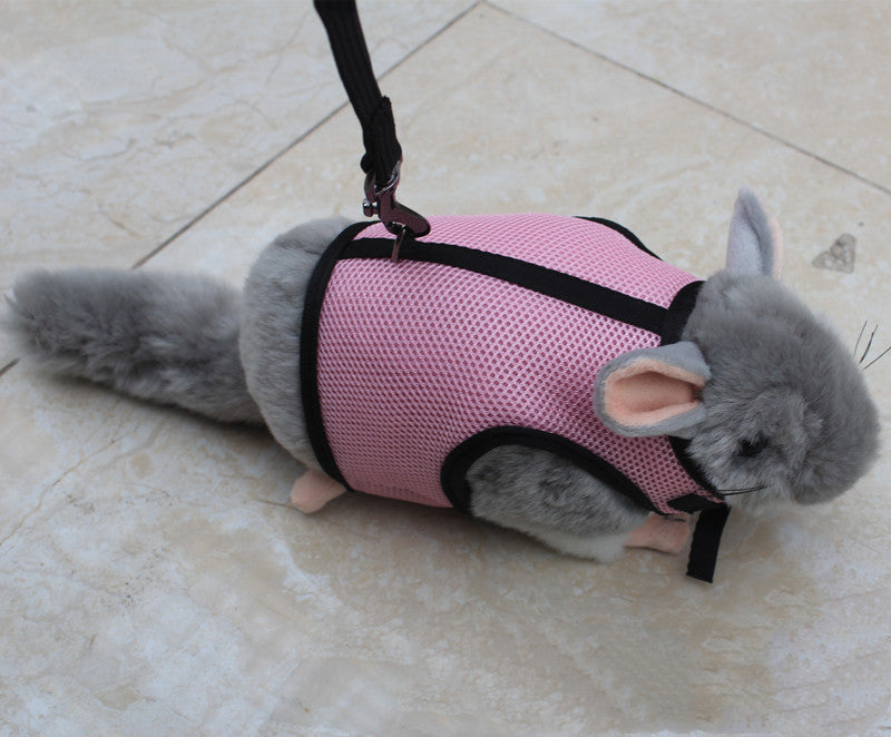 Adjustable Leash For Small Pets
