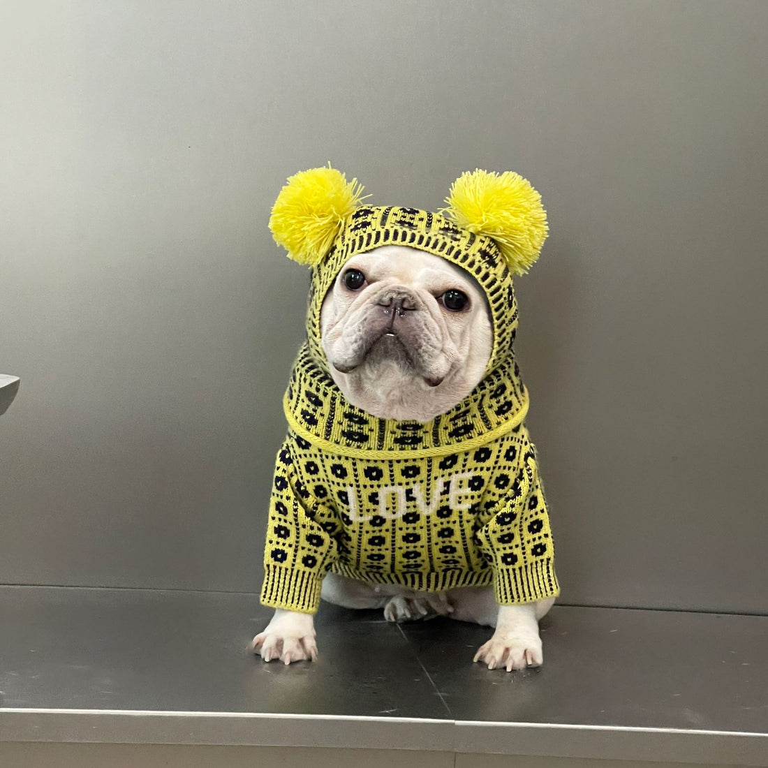 Pet Winter Sweater For Warmth And Comfort