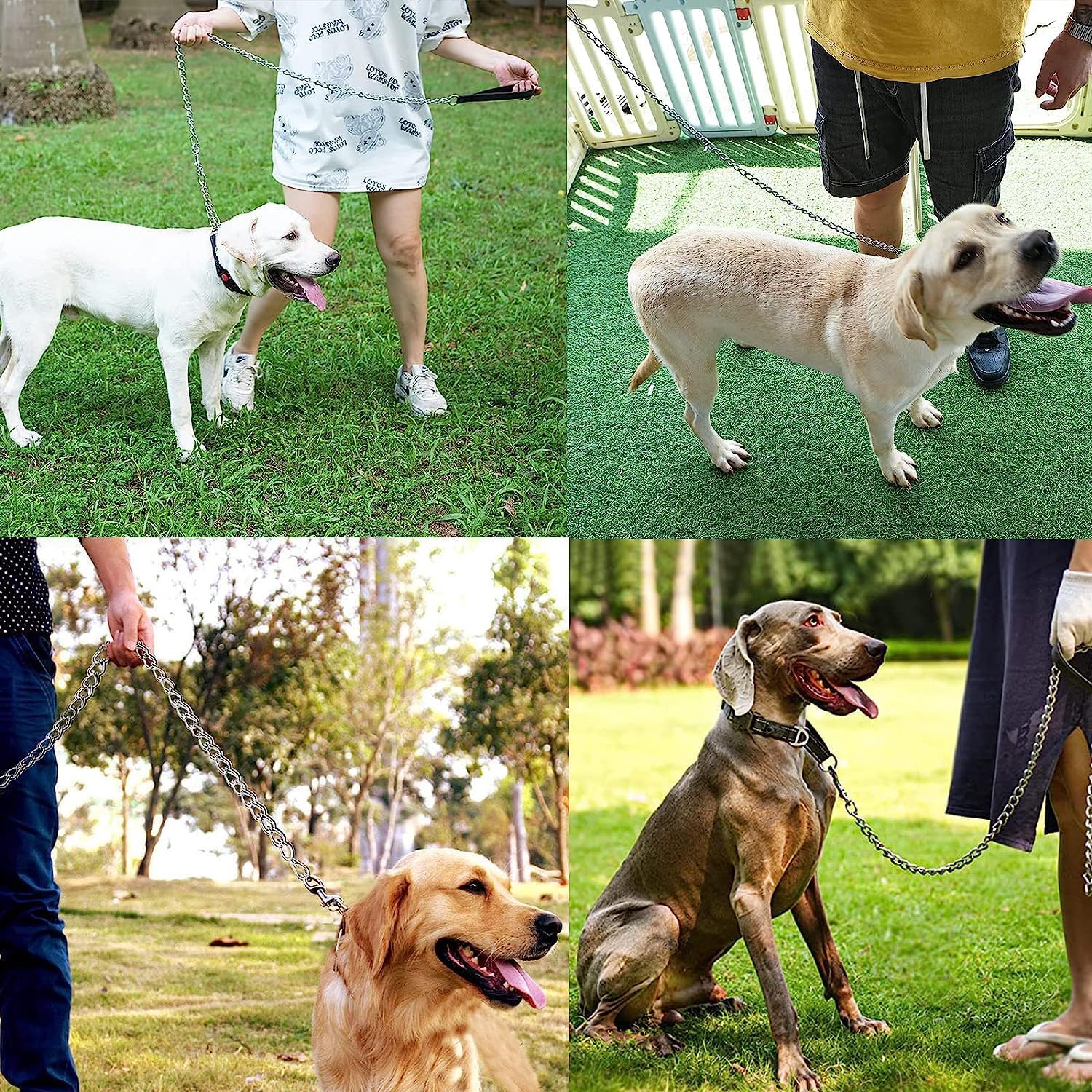 Heavy Duty Chew Proof Metal Leash For Pets